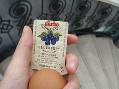 -上海棕榈滩海景酒店