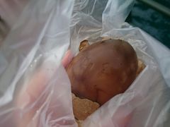 香菇茶叶蛋-金盆阿嬷香菇茶叶蛋(玄光店)