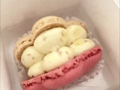 撞色玫瑰鹿卡龙-瑞幸咖啡(岳家嘴地铁站店)