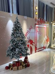 -深圳美莱医疗美容医院