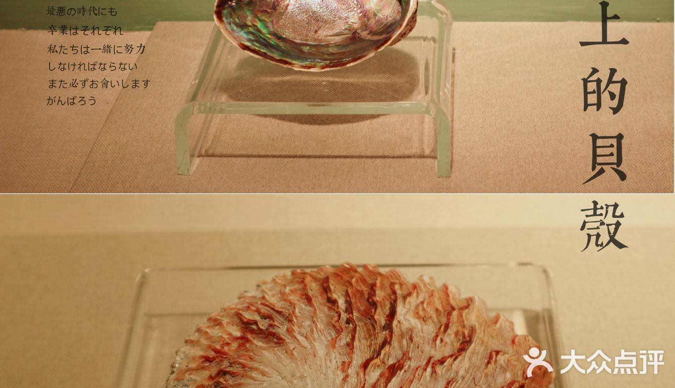 北京自然博物馆临展：邮票+贝壳爱好者冲鸭！