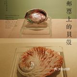 北京自然博物馆临展：邮票+贝壳爱好者冲鸭！