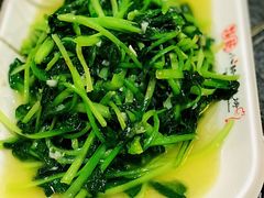 金牌酸辣白菜-福苗小骆驼烧烤(大唐不夜城店)