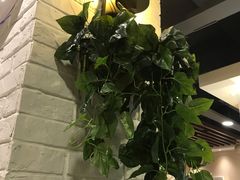 -彤德莱(青岛人民路店)