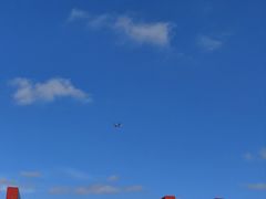 -春花秋色城市公园