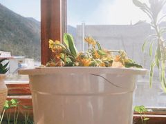 -四姑娘山阿巴郎·藏式花园餐厅