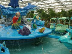 -南宫五洲植物乐园