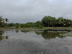 -沙美村