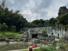-宁波野生动物园