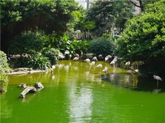 -香港皇家太平洋酒店