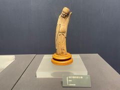 -温州博物馆
