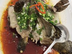 -皇朝尊会(龙之梦大酒店)