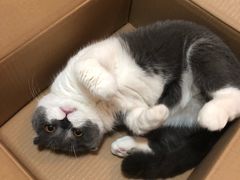 -大连市皮肤病医院