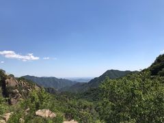 -大岭沟猕猴桃谷风景区