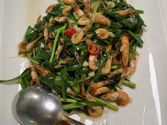 -仙店农庄