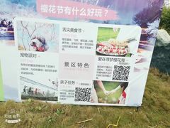 -天适樱花悠乐园