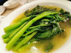-新南华大酒店(长寿店)