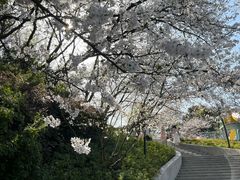 -杭州少年儿童公园