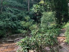 -青城山
