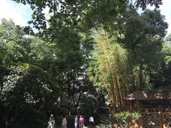 -静安公园(静安寺街道)