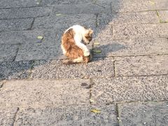 -西安化觉巷清真大寺