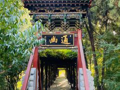 -晋祠公园