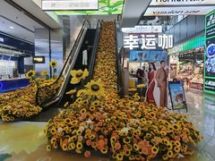 -吾悦广场(天津和平店)