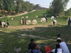 -东方巨龟苑景区