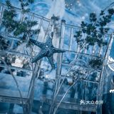 创意海洋婚礼/珂珂婚礼策划婚庆