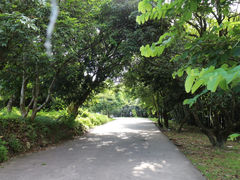 -北京师范大学(珠海校区)