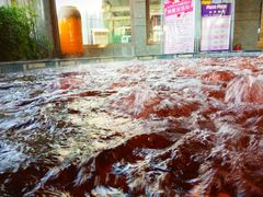 -弘安丽水温泉酒店