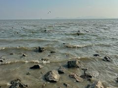 -深圳湾公园(南山区)
