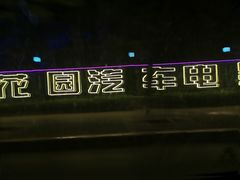 -枫花园汽车电影院(朝阳公园店)