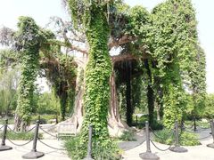 -石家庄市植物园