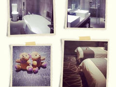 iphone_upload_pic-常州环球恐龙城维景国际大酒店