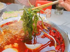 -渝大龙重庆火锅(温泉月亮湾店)