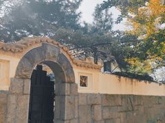 -八大关景区