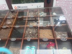 -张家港金凤凰度假村温泉
