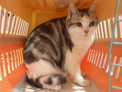 -半岛宠物医院24小时(西派城店)