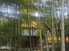 -阿育王寺素斋馆