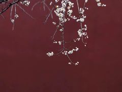 -钱王祠