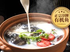 -鱼宴馆·家宴老字号淳鱼馆(千岛湖总店)