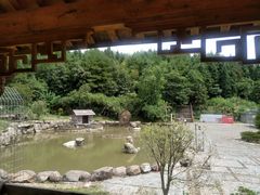 -梁野山景区