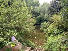 -杭州半山国家森林公园