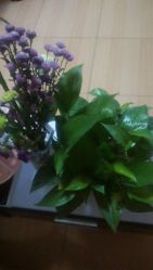 -本真坊美容美体沙龙