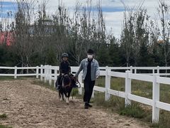 -中国马镇舞马世界主题乐园