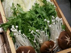 -南门四季铜锅涮肉(左家庄店)