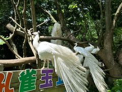 -宁波野生动物园