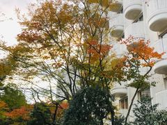 -新高轮格兰王子大酒店
