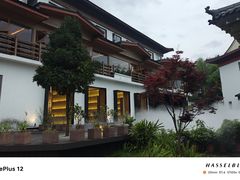 -宴武夷·匠心闽味(印象大红袍店)